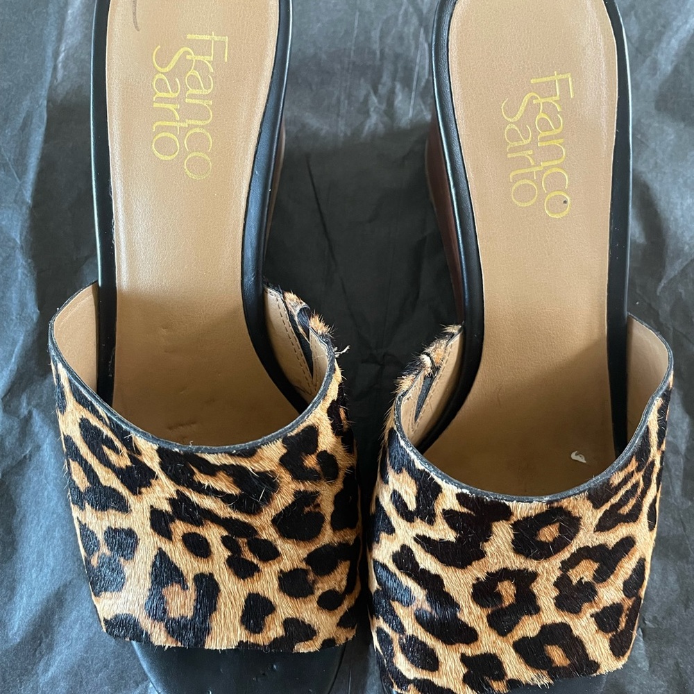 Leopard slides